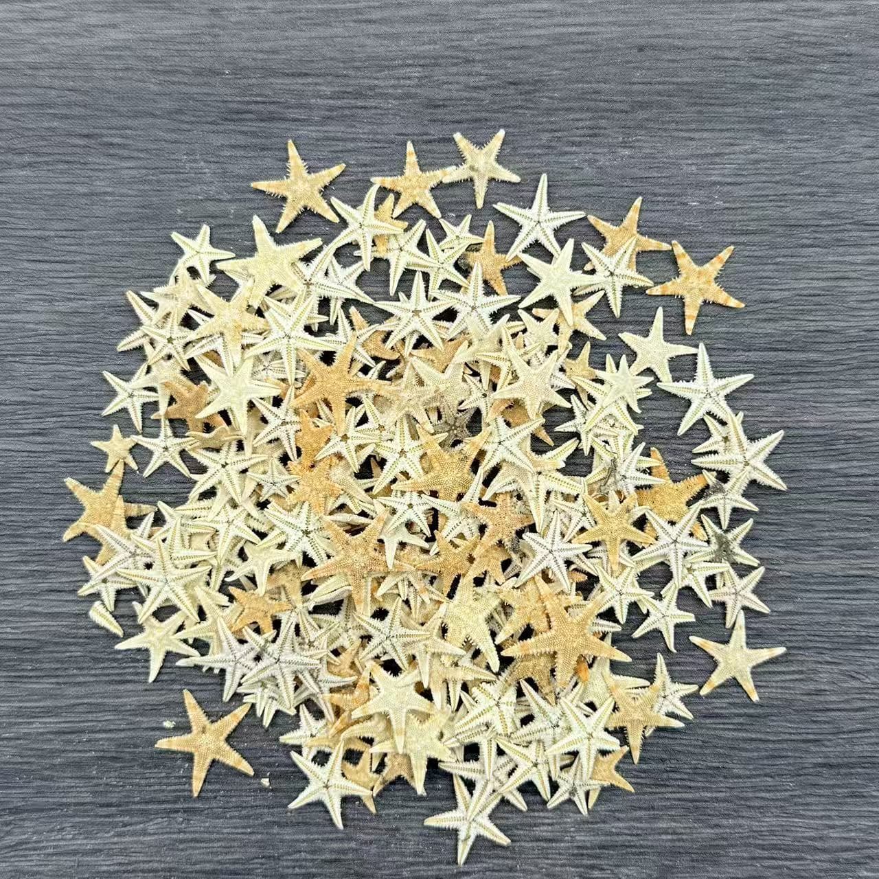 Natural Starfish Small Flat Five-Pointed Star Handmade DIY Starfish Craft Jewelry Accessory Decoration Miniature Landscape Shell