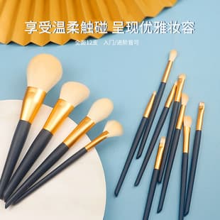 12-Piece Professional Makeup Brush Set, Eyeliner, Eyeshadow, Detail, Concealer, Foundation, Blush Brushes, Beginner Kit