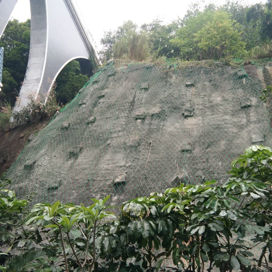 Climbing Net, Slope Protection Plant Climbing Net, Hubei Wuhan Yichang Polyethylene Sun-Resistant Ecological Greening Wall Climbing Net Factory
