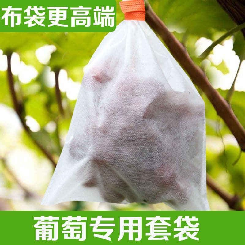 Ready stock non-woven grape bagging fruit bag orchard tree bagging bird, dust, and insect protection breathable bag wholesale