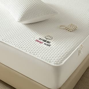 Cross-Border E-Commerce Xinjiang Cotton Fitted Sheet Quilted Mattress Cover Full Wrap Dust-Proof Mattress Protector Non-Slip Bed Sheet Wholesale