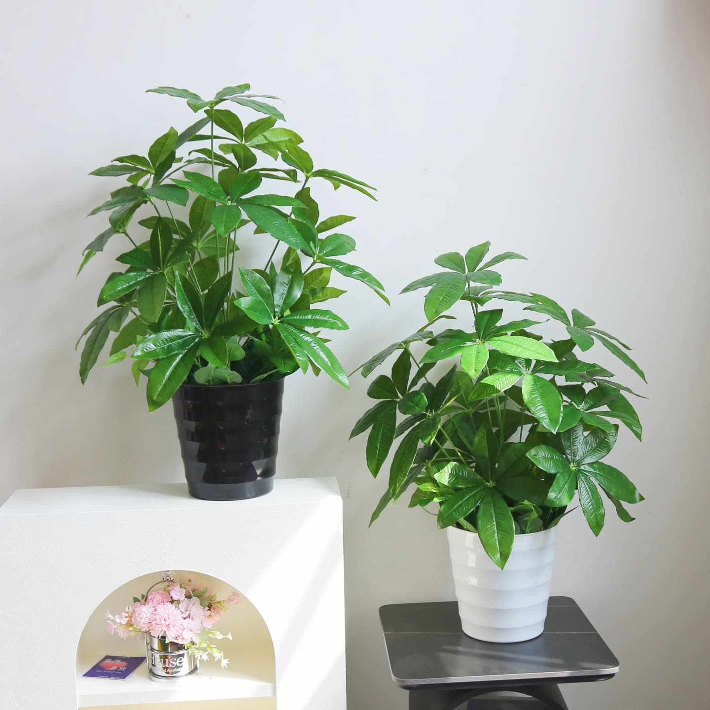 Artificial Money Tree Plant Simulation Greenery for Corridor Office Home Decoration TV Cabinet Faux Flowers