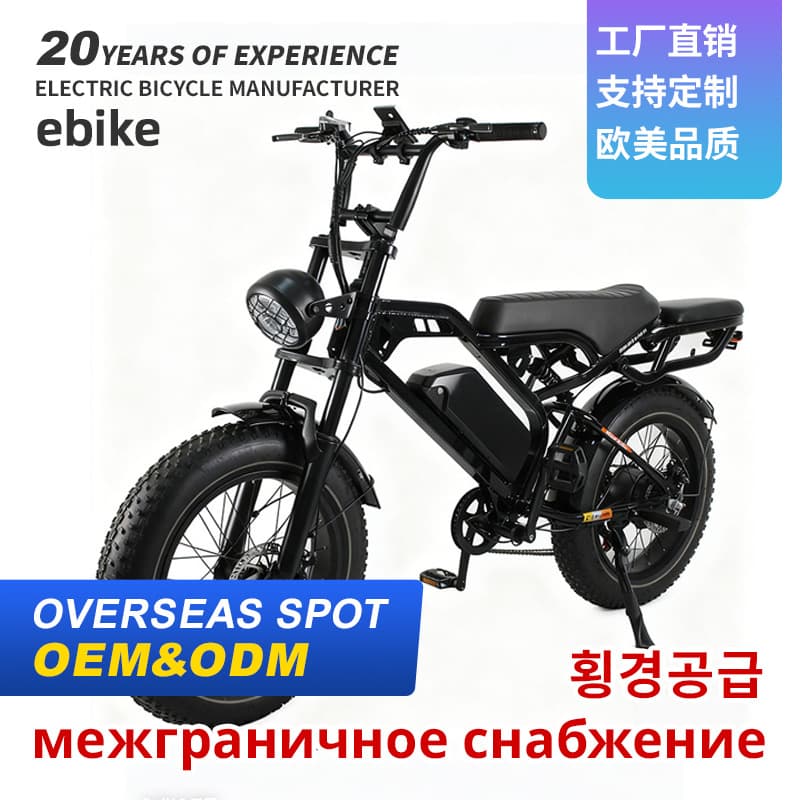 Cross-Border Ebike Electric Power-Assisted Bicycle 20inch Snow and Beach Off-Road Electric Bicycle Long-Range Electric Motorcycle