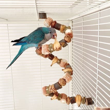 Parrot Toy Pine Nut String Wood Block Chewing Climbing Ladder Beak Grinding Bird Toy Landscape Bird Supplies