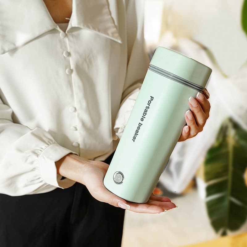 In-stock EU/US/UK Standard Electric Hot Water Cup, Small Portable Travel Car Kettle 110V
