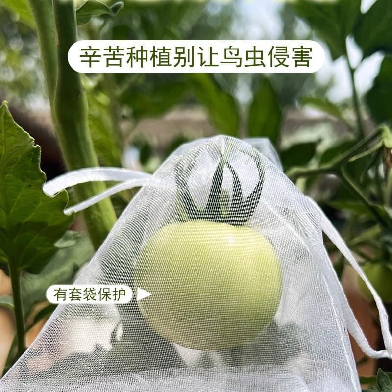 Fruit and Vegetable Insect and Bird Prevention Bags for Blueberries, Tomatoes, Grapes, and Dragon Fruits - Light-Permeable Protection Net Bags