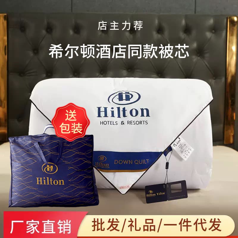 Hilton Hotel Silk Duvet, Imitation Mulberry Silk Warm Comforter, Spring/Autumn Thickened Winter Quilt, Bulk Purchase Gift Quilt Wholesale
