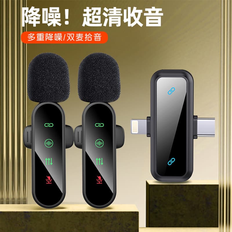 Cross-Border Two-In-One Wireless Lavalier Microphone H19 Outdoor Live Broadcast Mobile Phone Shooting Noise Reduction Radio Portable Microphone