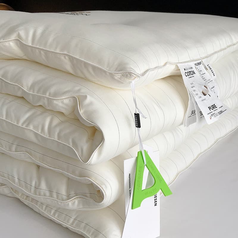 Luxury A-Class Clean Cotton Quilt Core, Light Luxury Line Design Warm Winter Quilt, Single/Dual Extra Thick Spring/Autumn Air Conditioning Quilt