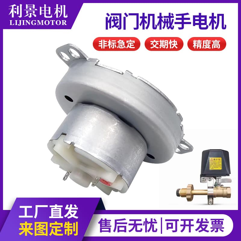 Metal Gear Pet Feeder Motor Valve Machinery BBQ High Torque DC Reduction Motor Wholesale