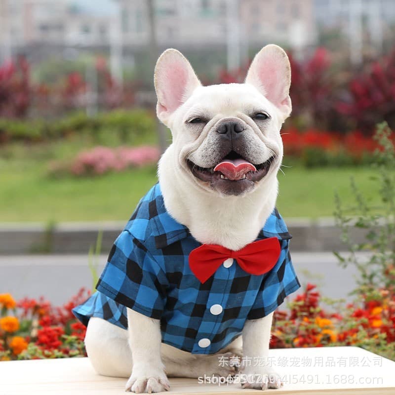 New Dog Plaid Shirt Suit Wedding Dress Fadou Bago Small Medium and Large Dog Pet Clothes for Cats