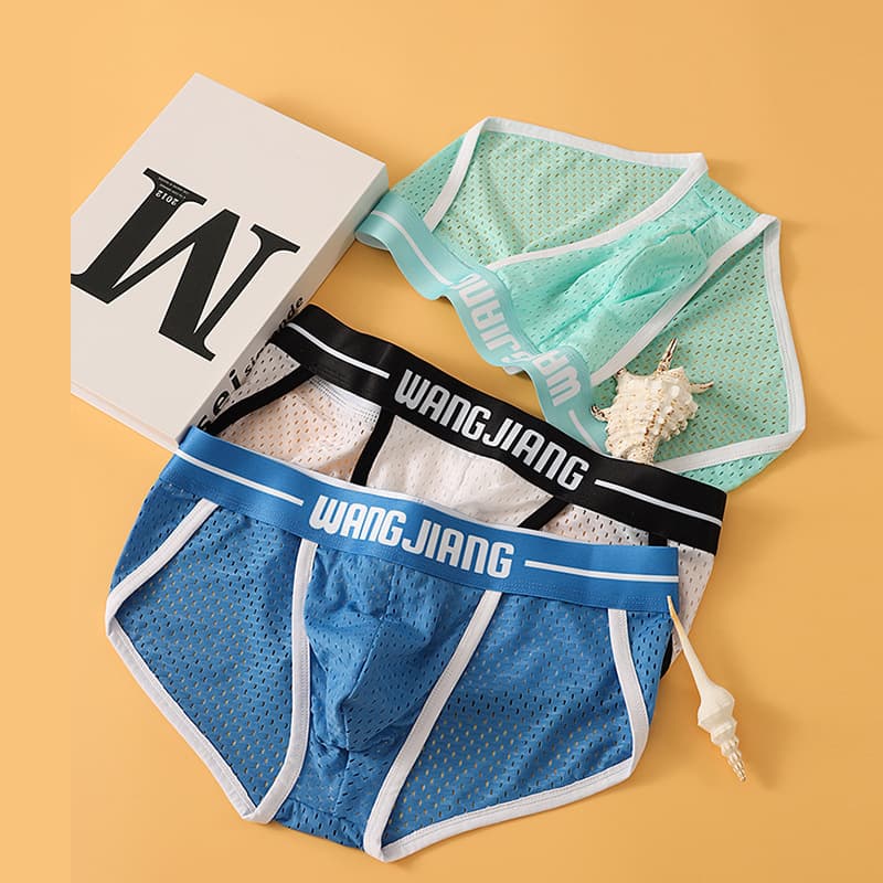 Ice Silk Mesh Men's Underwear Breathable Comfortable Triangle Briefs Quick Dry Sporty Knitted Nylon Cotton Crotch Mid Waist Boxer Briefs