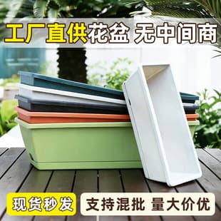 Huo Lun Planting Tray, Long Rectangular Pot for Home Balcony Gardening, Vegetable and Strawberry Planter