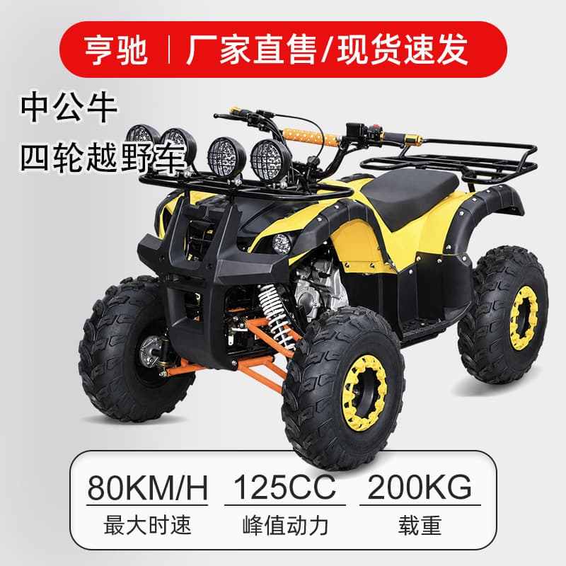 4-Wheel Off-Road Mountain Motorcycle 125cc Sand Vehicle 4WD All-Terrain 4-Wheel Motorcycle Desert Motorcycle
