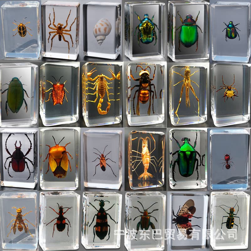 Amazon's new cross-border sale of real insect specimens: transparent resin spiders, autumn beetles, scorpions, butterflies, and more.