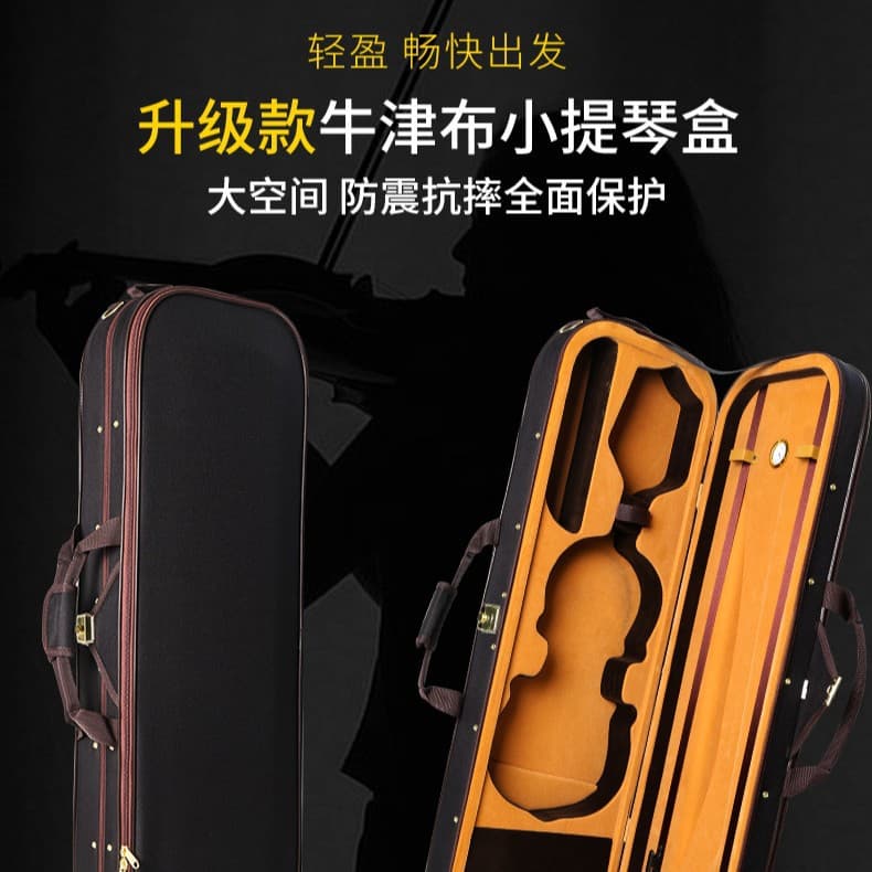 Factory Supply Violin Viola Case, Internal High Polymer Material, Portable, Impact-Resistant and Wear-Resistant