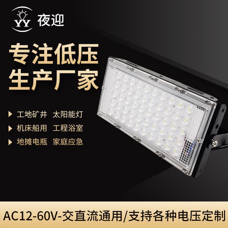 AC and DC integrated floodlight plum blossom LED low voltage floodlight 50W outdoor mobile portable marine lighting