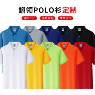 Custom Short Sleeve T-Shirt Workwear Manufacturing Turn-Down Collar Polo Shirt Work Uniform Advertising Shirt Cultural Shirt Short Sleeve Group