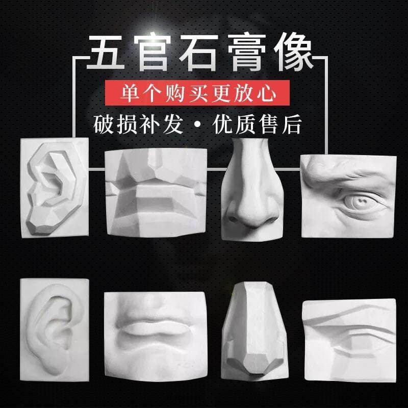 Baisheng Drawing Teaching Aids Five-Sense Plaster Model Geometric Teaching Aids Baihui Art Plaster Five-Sense Model Decoration