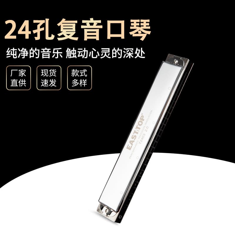 Easttop Professional 24-Hole Polyphonic Harmonica Learning Instrument Wholesale Stainless Steel Cover Plate Plastic Tone Hole