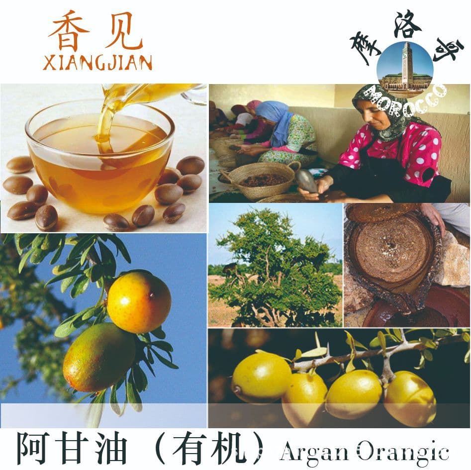 Moroccan Organic Argan Oil, Nut Oil, Cold-Pressed Virgin Vegetable Oil, Natural Base Oil, Skin Care and Massage