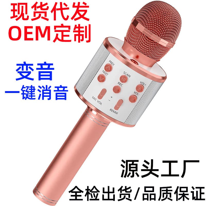 Microphone Speaker All-in-One Wireless Bluetooth Karaoke Microphone for Home KTV, Kids, Mobile Phone, Cross-Border WS858