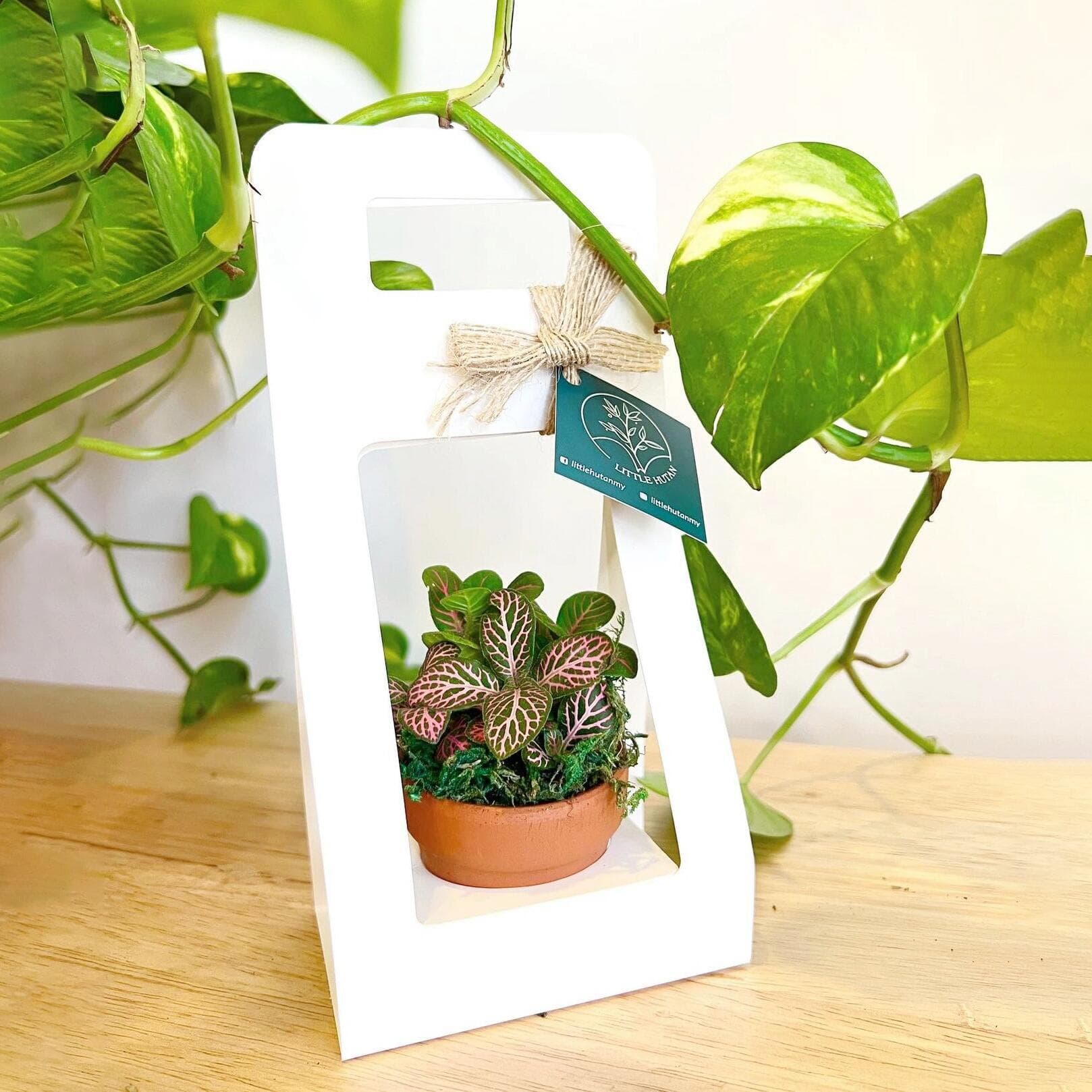 Green Plant Box, Flower Packaging Box, Succulent Pot Box, Handheld Flower Box, Foldable Flower Box, Cross-Border Source, Foldable Box, Empty Box