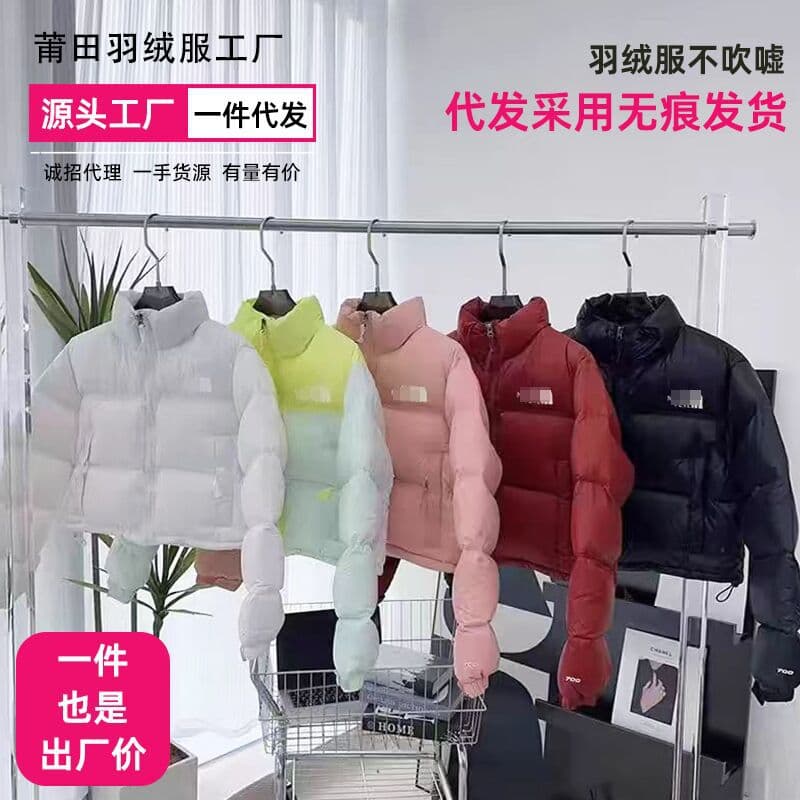 Putian high-grade North Face short down jacket 1984 US version glossy waterproof winter new style Kendall same style wholesale