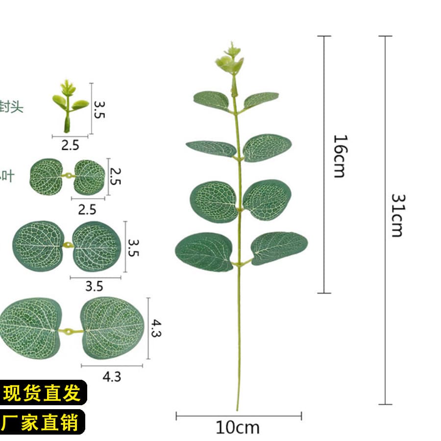 Cross-Border Green Plant Wedding Flower Arrangement Souvenir with Decorative Artificial Flower Single Money Leaf Eucalyptus Leaf Artificial Plant
