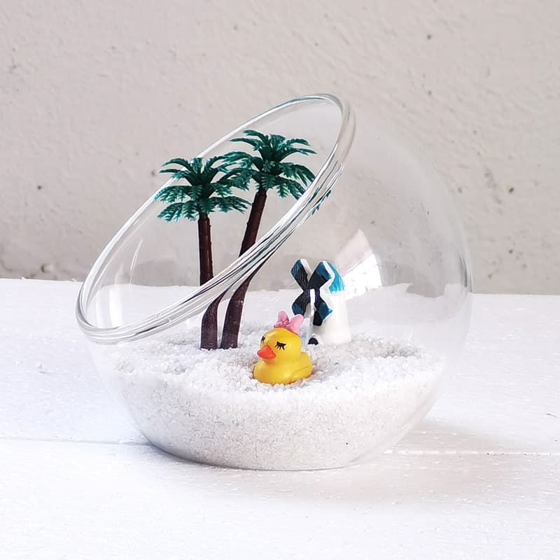 Bevel-cut large mouth glass bottle micro landscape moss ecological bottle transparent succulent DIY glass vase desktop decoration