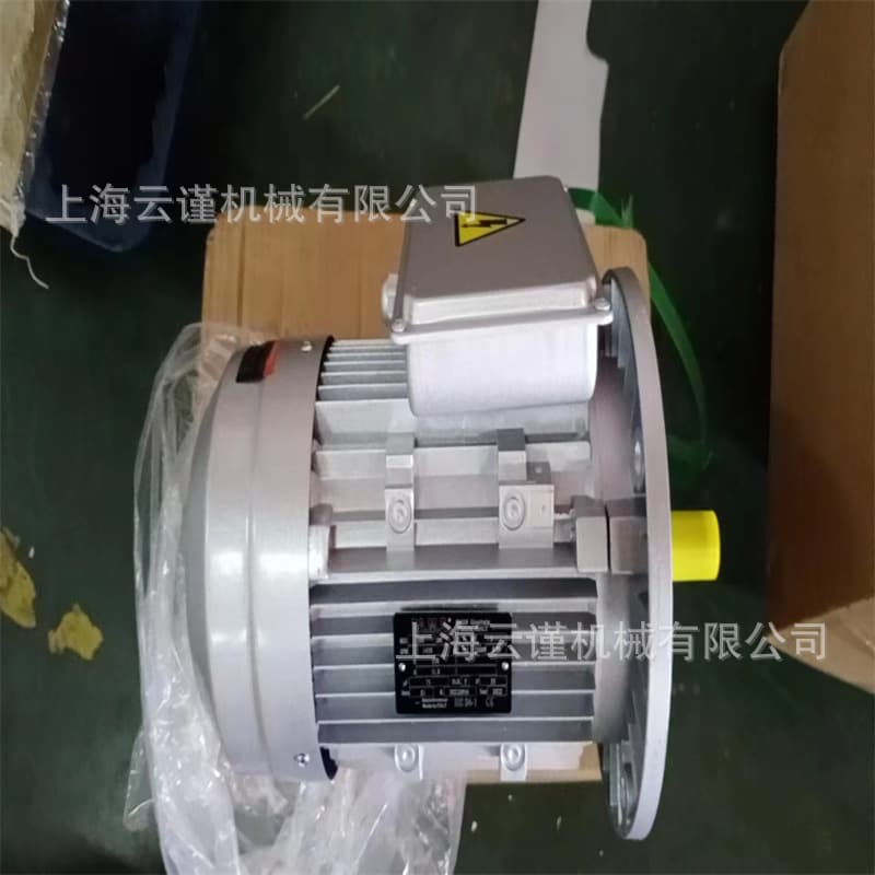 Italian Bronzoni Brake Motor Q2003AIE2-132 Electric Motors