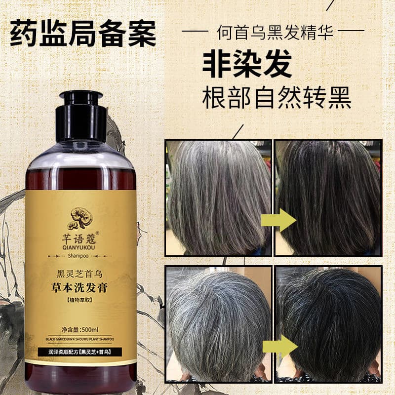 Qianyu Kou Black Reishi He Shou Wu Shampoo, Hair Darkening Shampoo, Herbal Plant Extract Oil-Control Anti-Dandruff Shampoo Paste