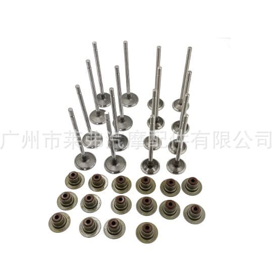 Valve Set for Nissan Platina Aprio Clio Kangoo 1.6