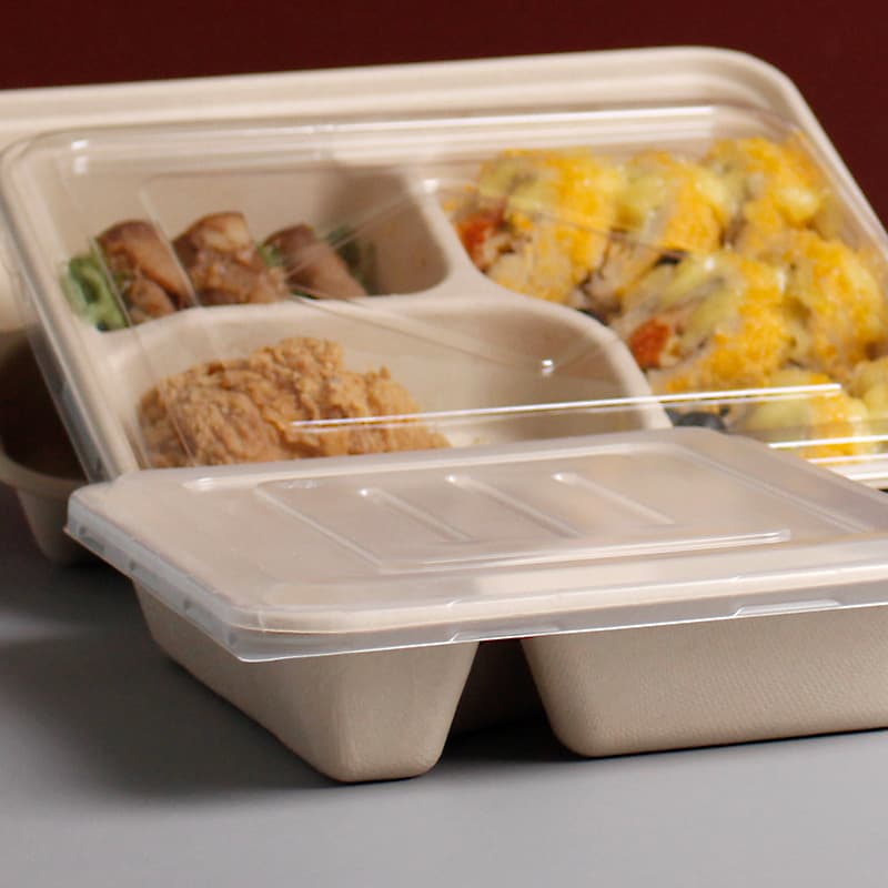 Ready-to-Ship Disposable Pulp Compartmentalized Meal Box, Multi-section Takeaway Container, Biodegradable Pulp Tableware