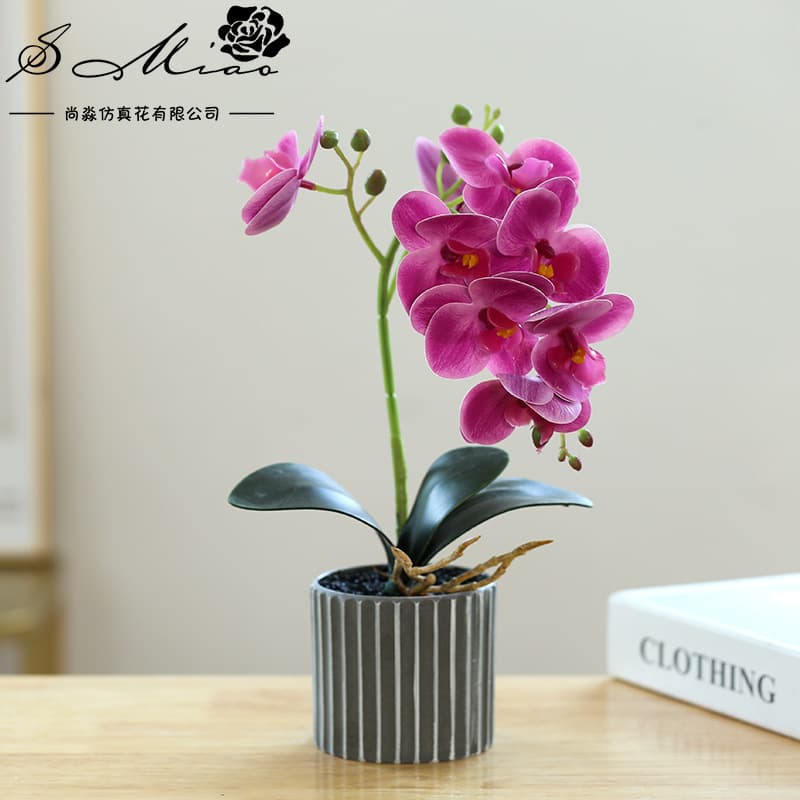Artificial Phalaenopsis Bonsai Simulation Flowers Factory Direct Home Decoration Drop Shipping Artificial Potted Plants