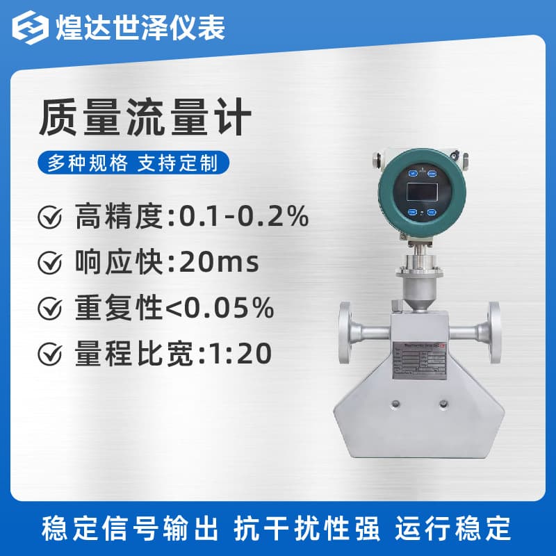 Coriolis Mass Flow Meter for Petroleum, Gasoline, Diesel, and Liquid Gas Density Measurement