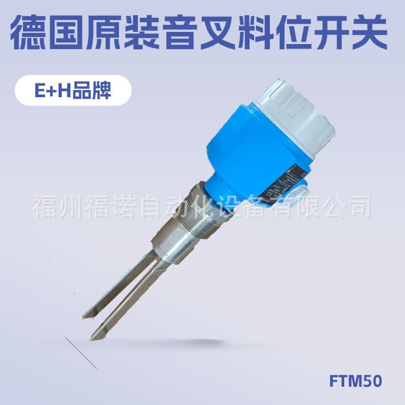 E+H tuning fork immersion level switch FTM50-AGJ2A4A52AA German Endress+Hauser for food applications