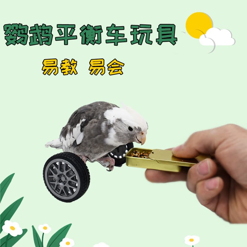 Parrot Toy Balance Bike Small Medium Bird Supplies Skateboard Skill Training Prop Cockatiel Toy