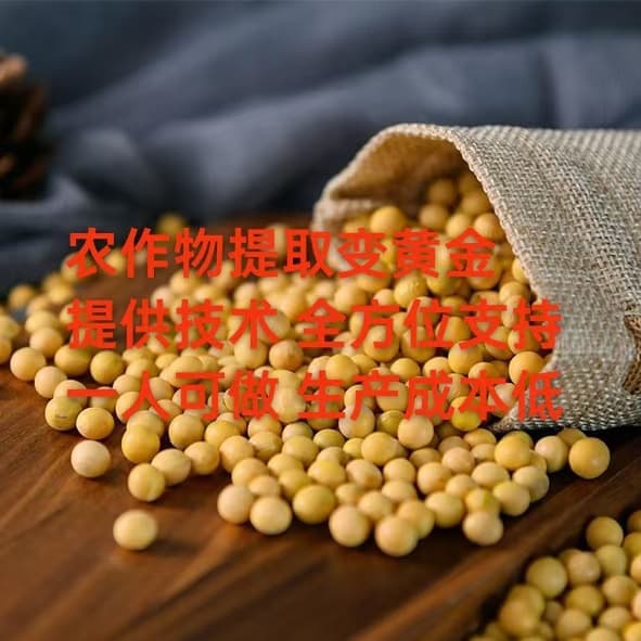 Grain transformation】Deep processing of protein essence, solo operation with guaranteed profit - scan to learn