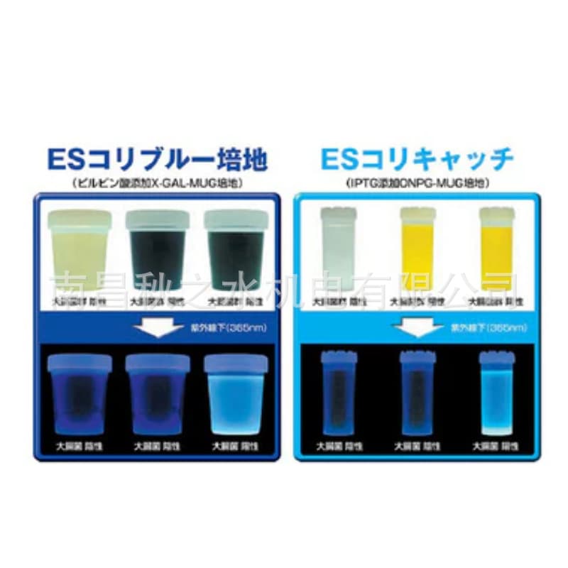 Leading Supplier of Japan EIKEN Eiken Chemical ES Coli Catch TN Series TN4003