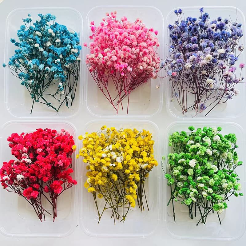 Dried Fruit Cinnamon Dried Flower DIY Material Kit Natural Plant Candle Handmade Plaster Decoration Dried Flower DIY Material