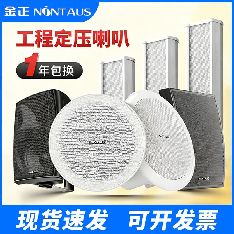 Jinzheng Ceiling Speaker for Store Decoration, Wall-Mounted Fire Alarm Broadcast Sound Column Speaker
