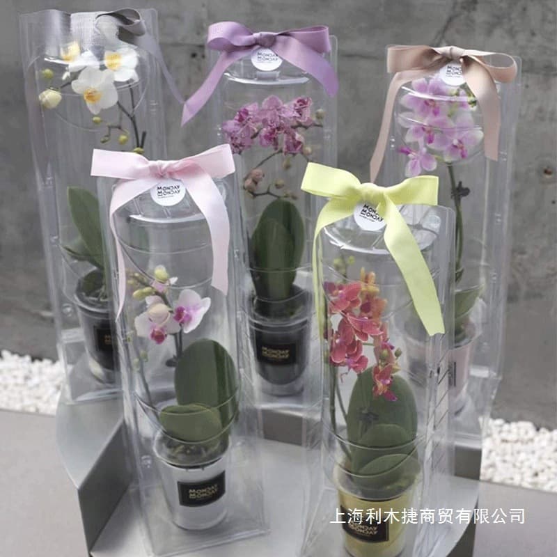 Phalaenopsis Orchid Flower Packaging Box, Transparent Gift Box Outer Shell, Empty Box, Blister Box, Ready for Immediate Shipment