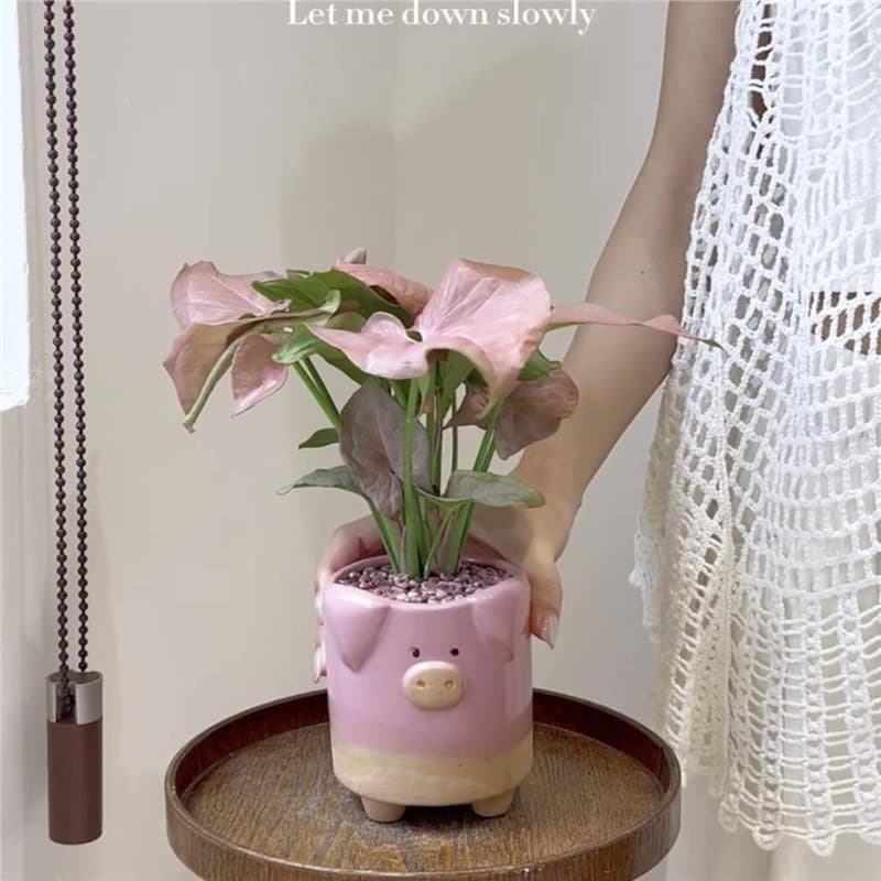Cute Pig Animal Flowerpot Ceramic Succulent Planter, Indoor Balcony High-Aesthetics Vase Desktop Decoration Storage Mini Ornament