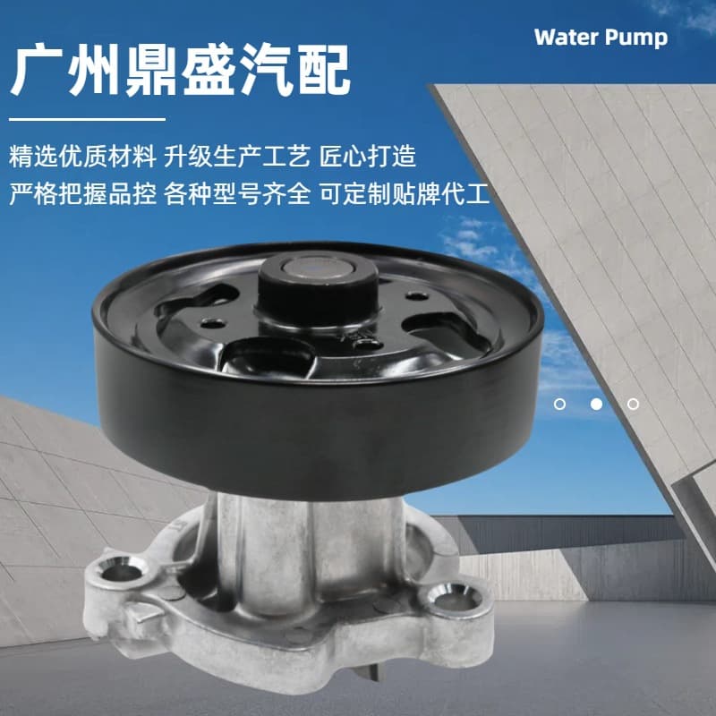 21010-6N226 for Nissan X-Trail T30, T31, Teana J31 QR25 engine water pump.