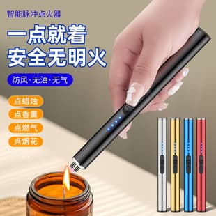 Arc Igniter Kitchen Gas Stove Ignition Wand Windproof Electronic Lighter Aromatherapy Cross-border Type-C Lighter
