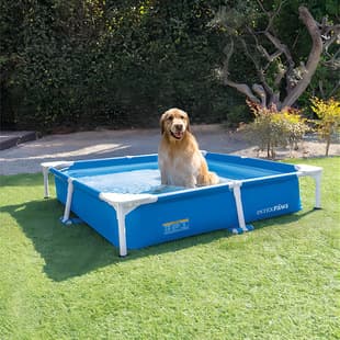 Large Extra Large Adult Swimming Pool Children's Large Frame Play Pool Outdoor Thickened Fish Pond Foldable