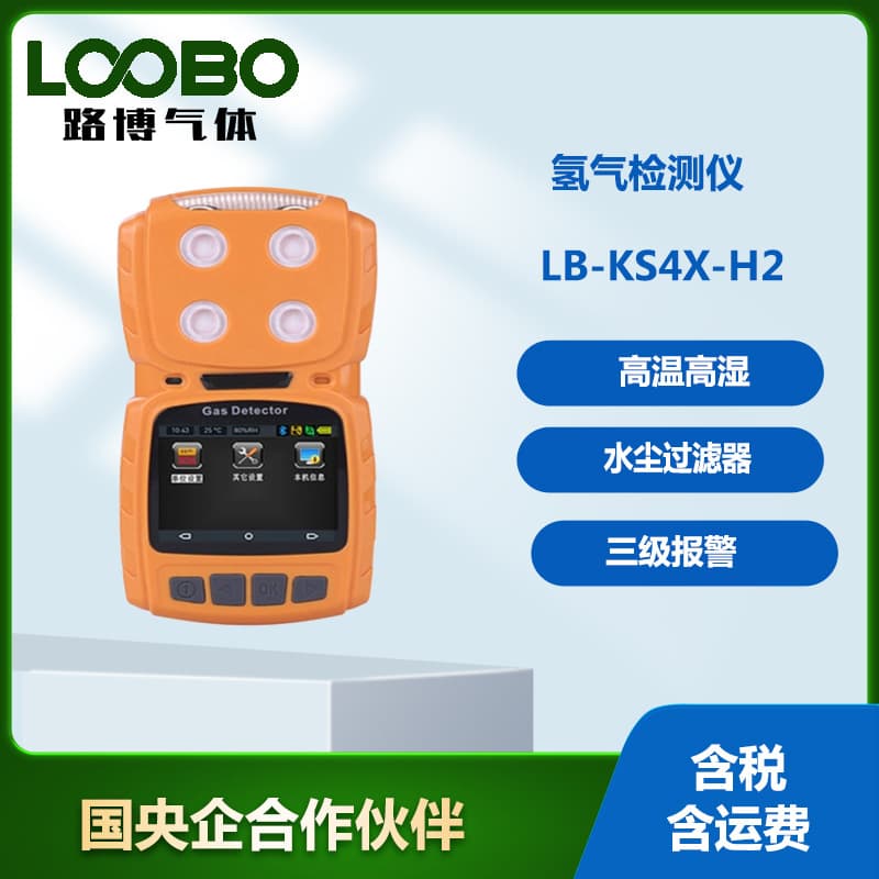 Handheld Hydrogen Detector Leakage Concentration Tester Hydrogen Gas Sensor