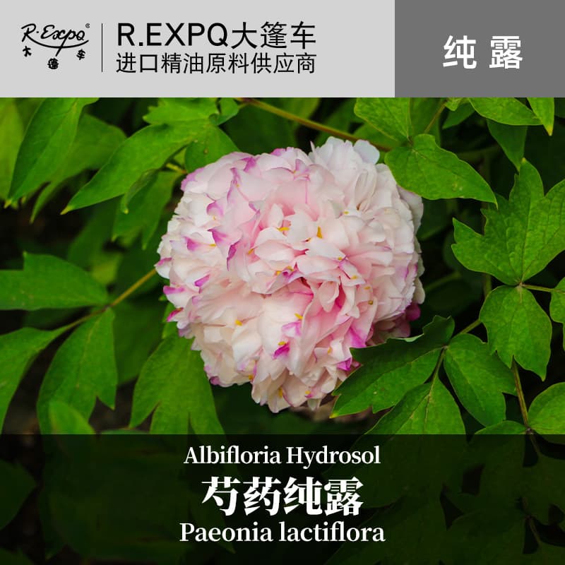 Peony hydrosol hydrating and moisturizing raw materials wholesale facial SPA hydrosol flower liquid flower water hydrosol toner caravan