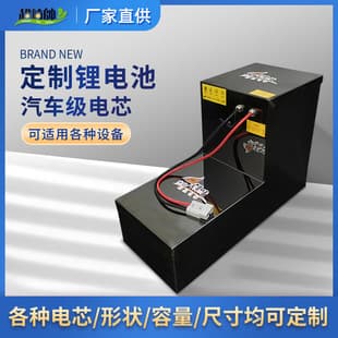 Electric Four-Wheel Vehicle Lithium Battery 72V LiFePO4 60V CATL Aima Yadea Tailg Power Type